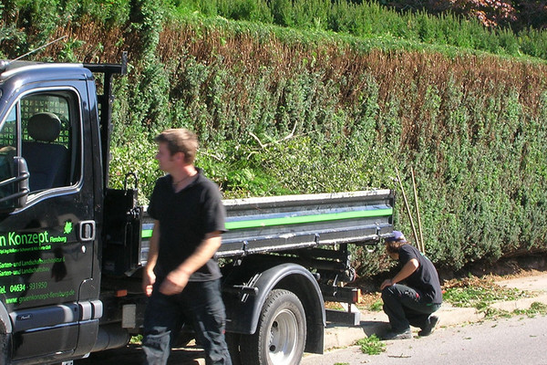 Bild von der Heckenpflege 